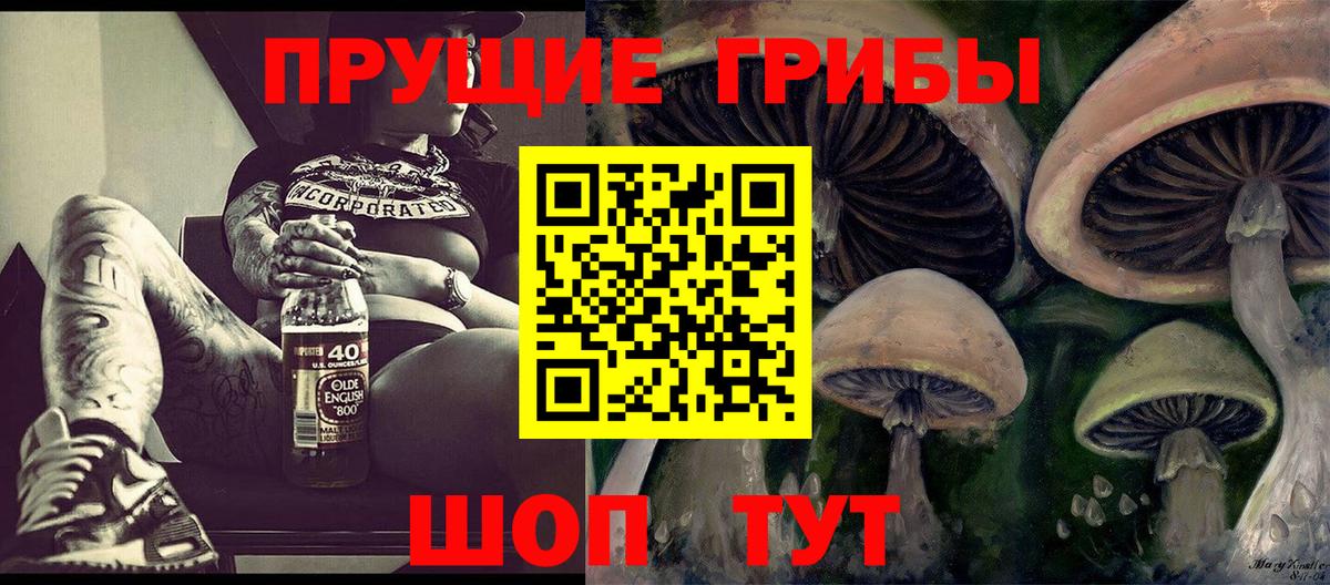 где купить наркотик  Псилоцибиновые грибы Psilocybine cubensis  Вход с VPN  Сальск 